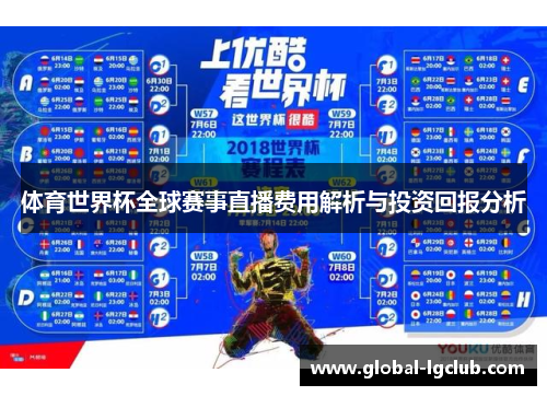 体育世界杯全球赛事直播费用解析与投资回报分析 体育世界杯全球赛事直播费用解析与投资回报分析