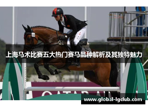 上海马术比赛五大热门赛马品种解析及其独特魅力 上海马术比赛五大热门赛马品种解析及其独特魅力