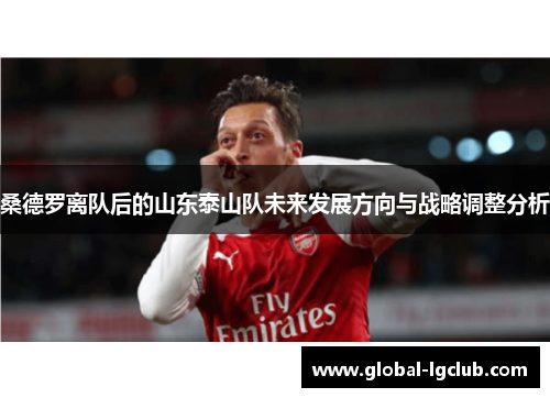 桑德罗离队后的山东泰山队未来发展方向与战略调整分析 桑德罗离队后的山东泰山队未来发展方向与战略调整分析