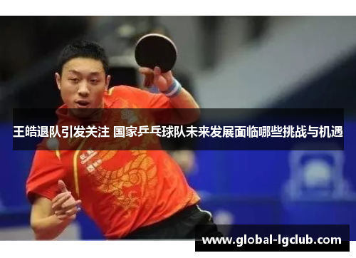 王皓退队引发关注 国家乒乓球队未来发展面临哪些挑战与机遇 王皓退队引发关注 国家乒乓球队未来发展面临哪些挑战与机遇