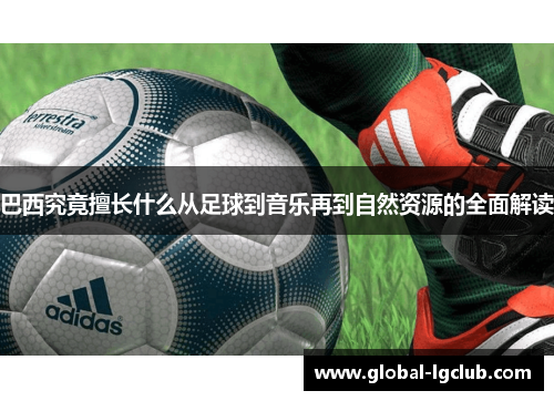 巴西究竟擅长什么从足球到音乐再到自然资源的全面解读